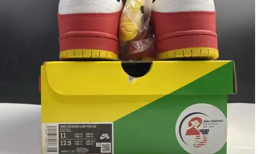 Low years 309242-307 25th Nike SB Dunk 0613